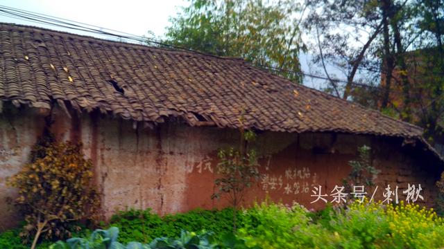 2019农村在老宅基地上自建房有哪些新要求?