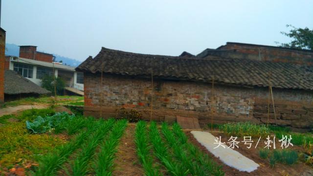 2019农村在老宅基地上自建房有哪些新要求?